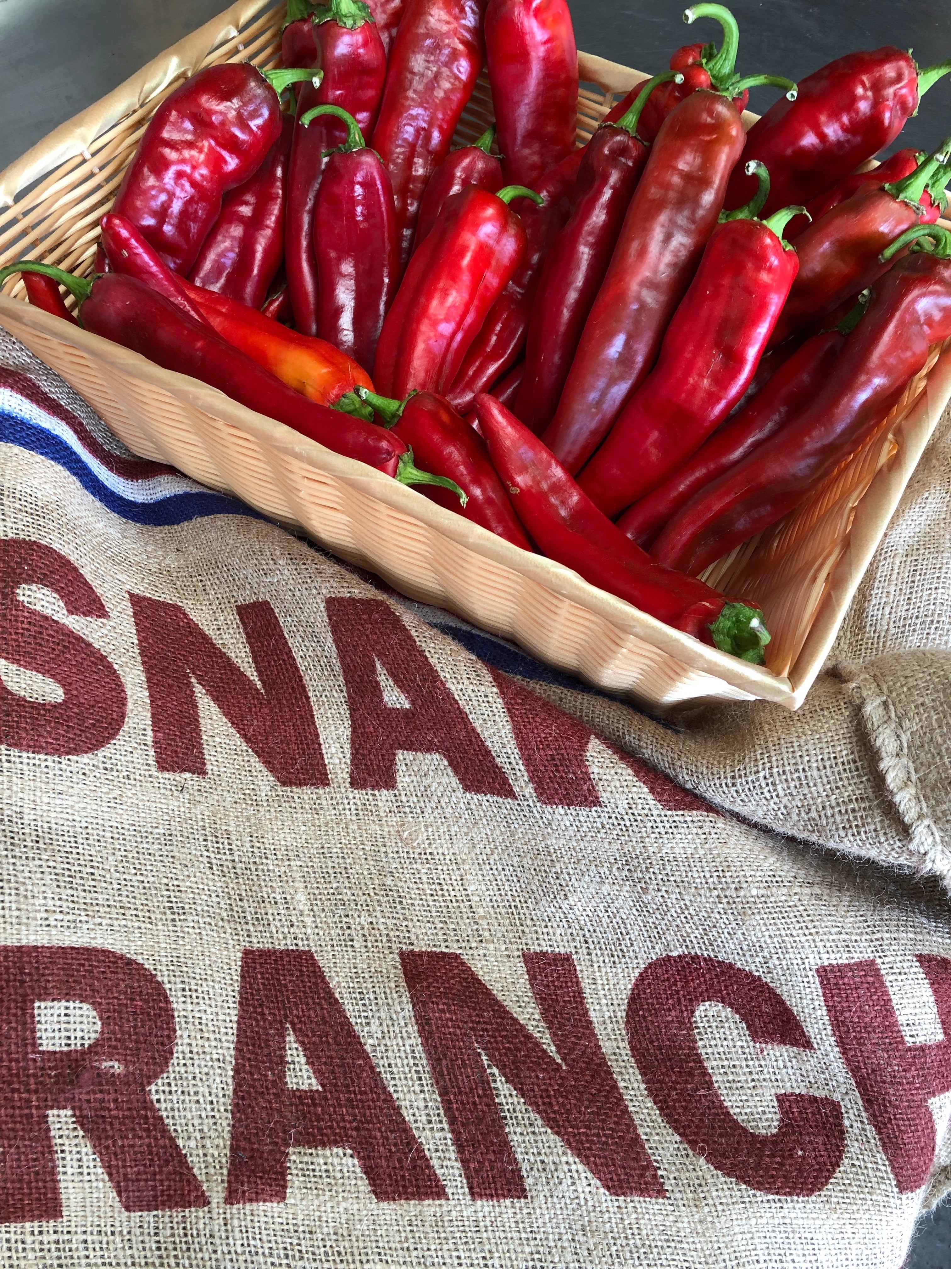 FRESH RED CHILE HARVEST OVER SEE YA IN 2026