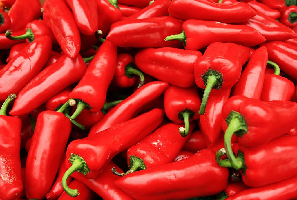 FRESH RED CHILE HARVEST OVER SEE YA IN 2026